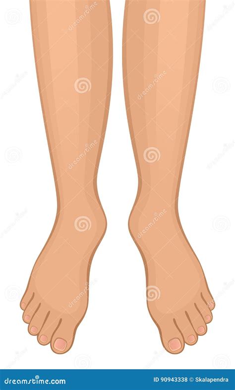 Naked Girls Feet Vector Illustration Cartoondealer The Best Porn Website