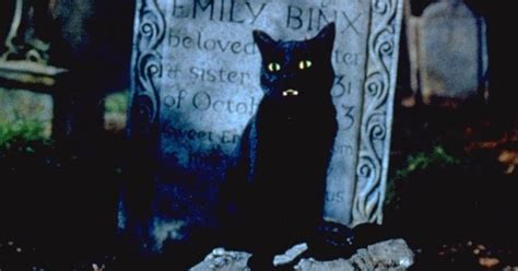 Is Everyone's Favorite Cat Thackery Binx in 'Hocus Pocus 2'?