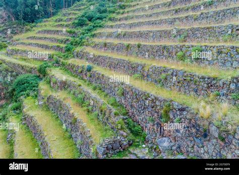 Inca agricultural terraces in Pisac, Peru Stock Photo - Alamy