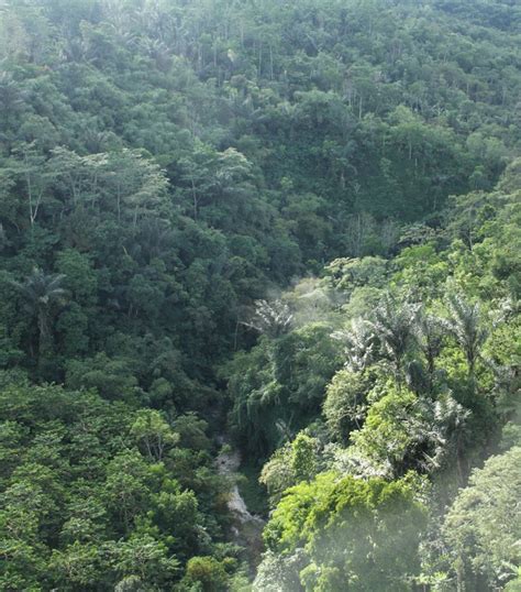 jed jaringan ekowisata desa