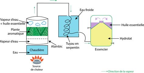 Les Hydrolats Et Eaux Florales Naturaphytome