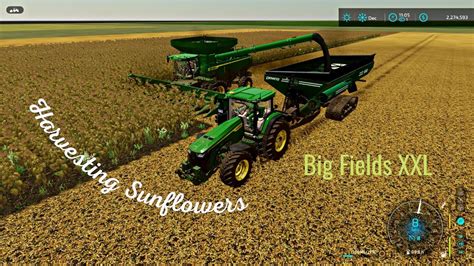 Fs Big Fields Xxl Gameplay Harvesting Sunflowers Replanting With