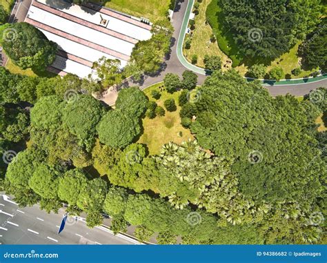 Aerial Photography Bird Eye View Of Park Trees Landscape Stock Photo