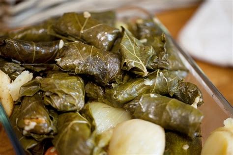 Kurdish Dolma Recipe - QR to Menu