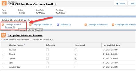 How To Setup Campaigns In Salesforce Blu Ninjas