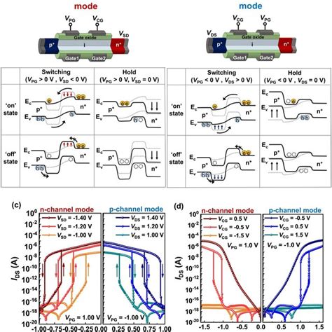 The Operation Mechanism Of The Reconfigurable Double Gated Feedback