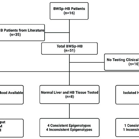 Flow Sheet Summarizing Data Collection For The Bws Hb Study The Figure