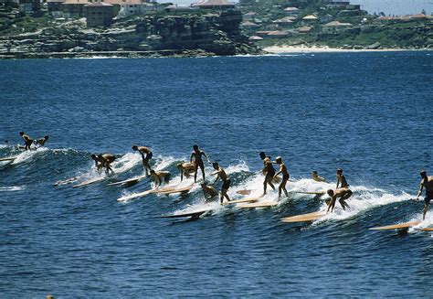 Surfing At Manly Beach Digital Art by John Dominis - Fine Art America