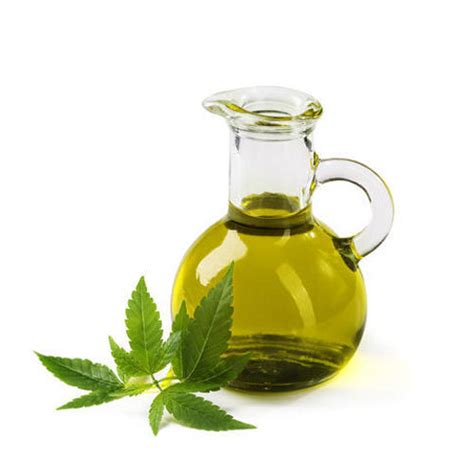 Pure Hemp Seed Oil Cold Pressed Edible At Litre Sector