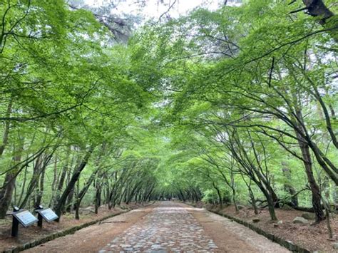 Best Hikes and Trails in Gyeongju National Park | AllTrails