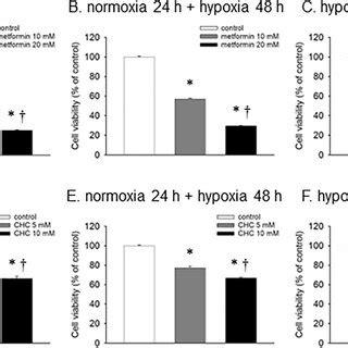 Effects Of Metformin And CHC On Cell Viability With Concentration