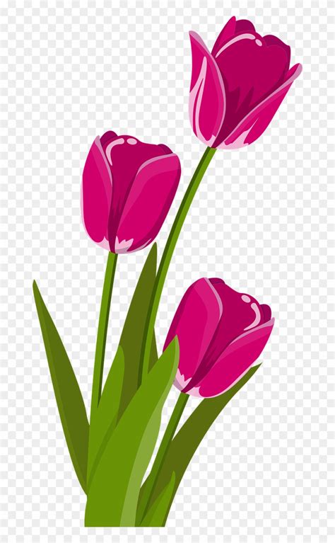 Clipart Bunga Tulip