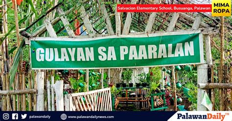 29 Beneficiaries Of 4ps Gulayan Sa Paaralan Project Transform School Garden In Palawan