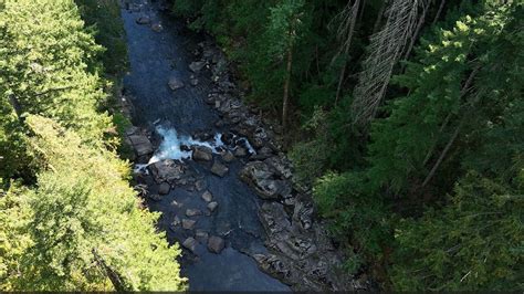 Washington Fish Wildlife Biologist Tragically Drowns During Steelhead