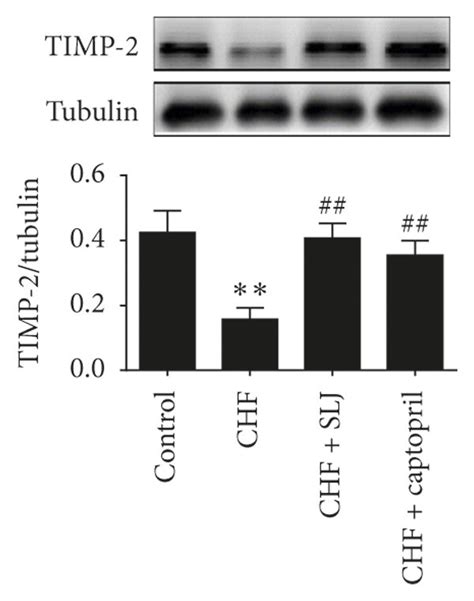 Slj Upregulates The Expression Of Timp Timp And Timp And