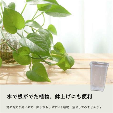 植木鉢 透明 プラ鉢 ネガミエル 透明スリット鉢 3号サイズ×5鉢set Toumei Pot3 E 花屋さん 通販