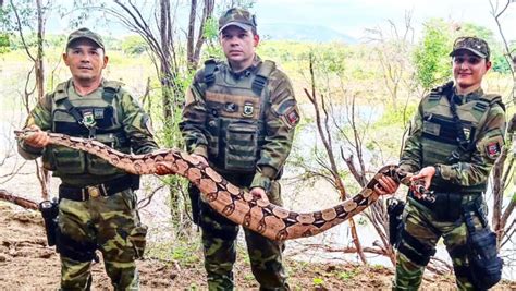 RÁDIO COMUNITÁRIA DE CAMPO REDONDO JIBÓIA MAIS DE DOIS METROS É