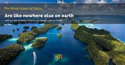 6 interesting Facts about the Rock Islands in Palau | Palau Dive Adventures