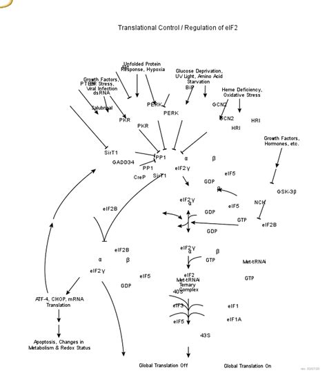 Index Of Scalable Pathways Svg