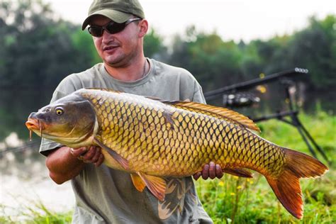 Fishingbooker How To Go Bowfishing For Carp The Complete Guide For