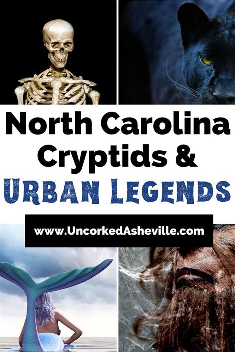 North Carolina Cryptids, Urban Legends, & Folklore: 10 Fascinating ...