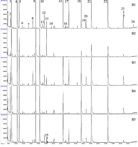 Pdf Development Of A Dynamic Headspace Solid Phase Microextraction