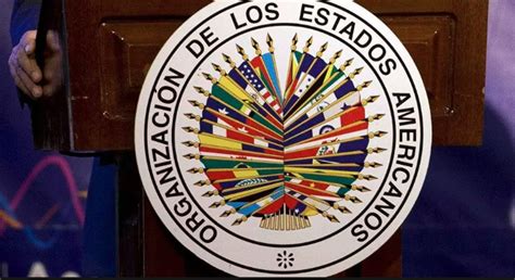 VENEZUELA La OEA Condena El Secuestro Y Tortura De Menores