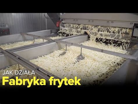 Jak Dzia A Fabryka Frytek Fabryki W Polsce Youtube