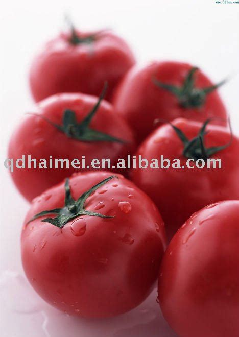 Chinese Top Quality Fresh Tomatochina Haimei Price Supplier 21food