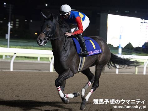 【川崎・スパーキングレディーカップ2024】出走予定馬（627）｜競馬ニュース｜競馬予想のウマニティ