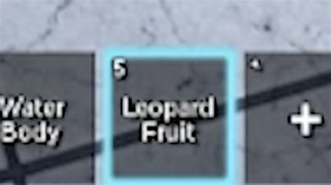 When You Roll A Leopard Fruit From Blox Fruits Dealer YouTube