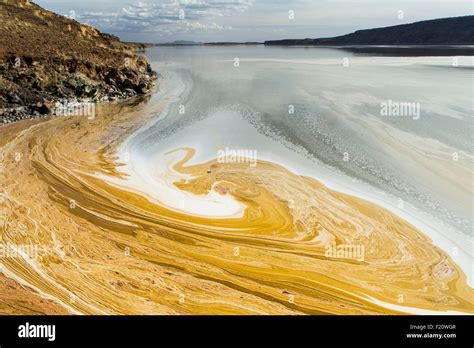 Kenya, Magadi lake, Little Magadi Stock Photo - Alamy