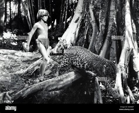 Tarzan and the jungle boy year hi-res stock photography and images - Alamy