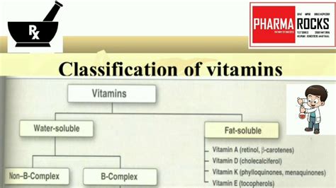 Fat And Water Soluble Vitamins Chart