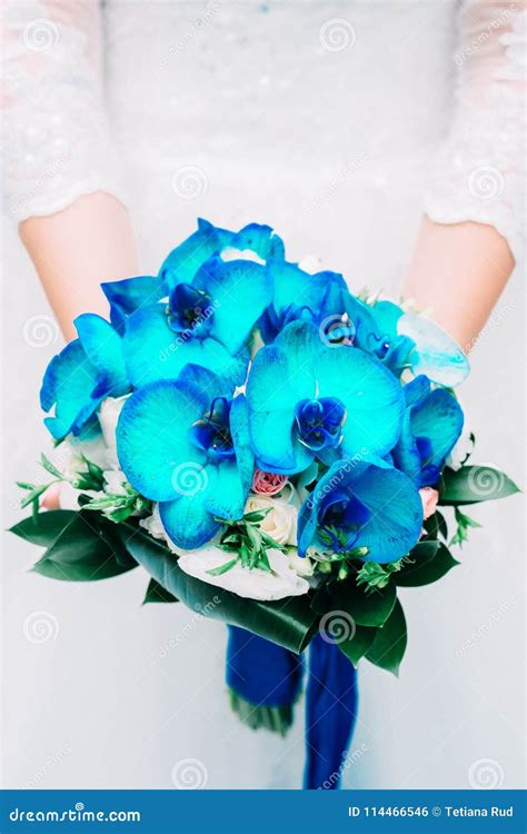 Blue Wedding Bouquet of Orchids in the Hands Stock Photo - Image of ...