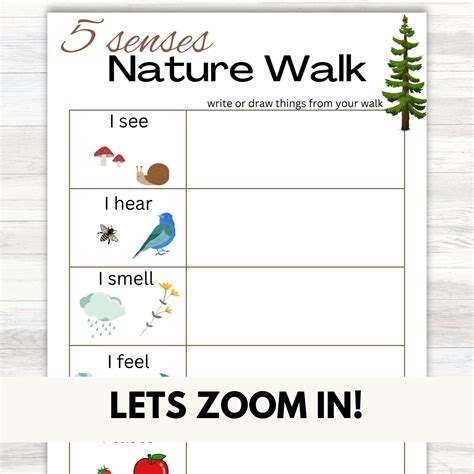 5 Senses Nature Walk Scavenger Hunt Printable Outside Sensory Nature