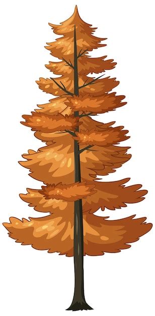 Premium Vector Autumnal Fir Tree Vector Illustration