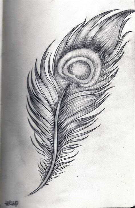 Peacock Drawing Peacock Feather Tattoo Feather Tattoo Design