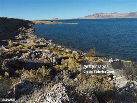 276 Pyramid Lake (Nevada) Stock Photos, High-Res Pictures, and Images - Getty Images