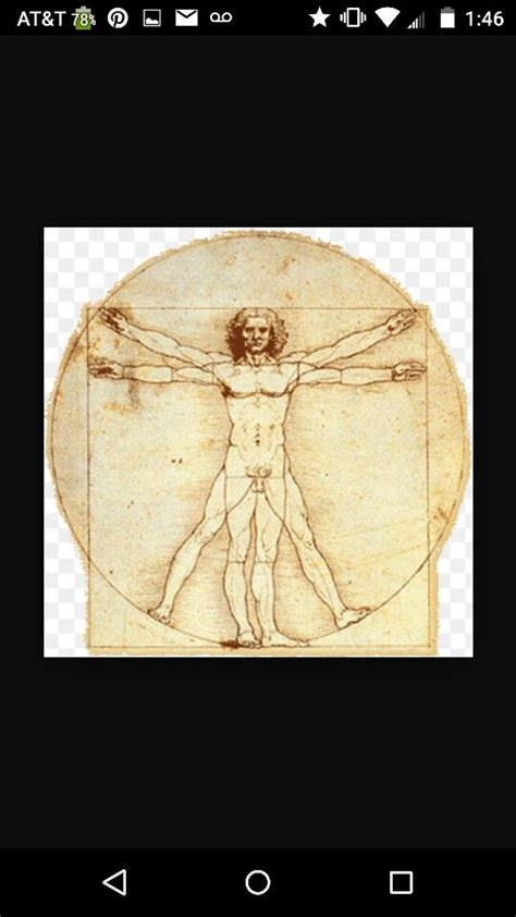 The Vitruvian Man Italian Le Proporzioni Del Corpo Umano Secondo