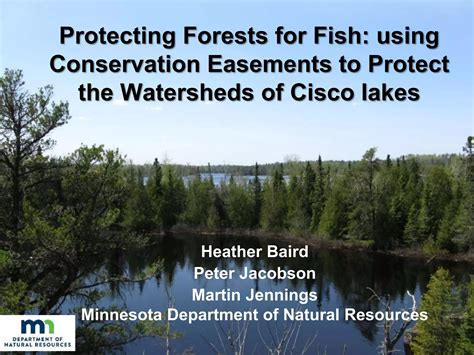 Protecting Forests for Fish: Using Conservation Easements to Protect