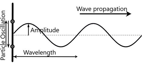 sound waves  longitudinal waves  electromagnetic waves