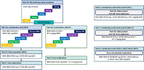 Figure 1 From OX40 Agonist BMS 986178 Alone Or In Combination With