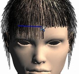 Hair Cut Simulation | PROJECTS