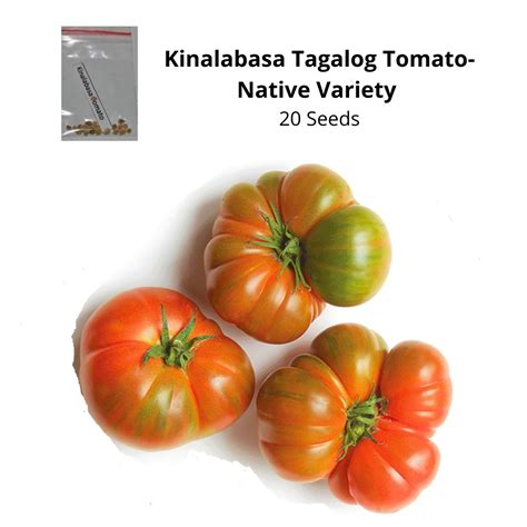 kinalabasa kamatis tagalog tomato native variety seeds shopee