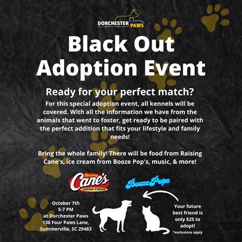 ADOPTION EVENT- BLACK OUT NIGHT - Dorchester Paws