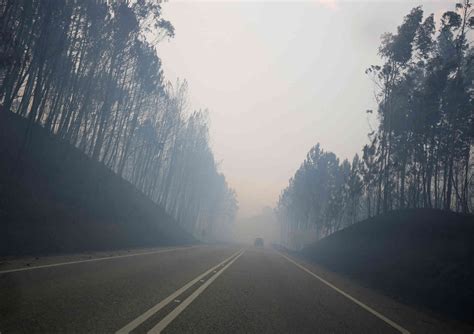 Incendies Au Portugal Dans Les Paysages Calcinés De La Nationale 236