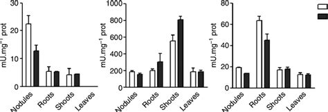 Activity Of Ureide Metabolism Enzymes In Response To Drought Crude