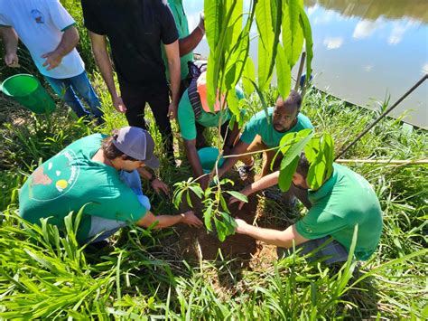 Projeto Capivara Faz A O De Plantio De Mudas S Margens Do Rio Para Ba