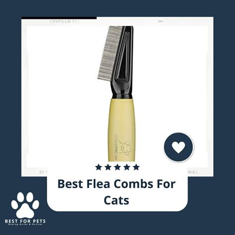 The Best Flea Combs For Cats In 2023: What You Need To Know